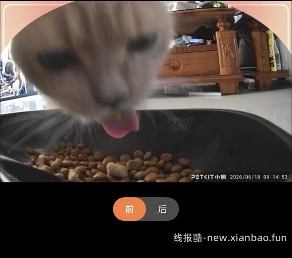 京东plus小佩超级好价喂食器，之前自己没搜到，现在靠朋友做到了，不会设置问答看我评论区吧 - 线报酷