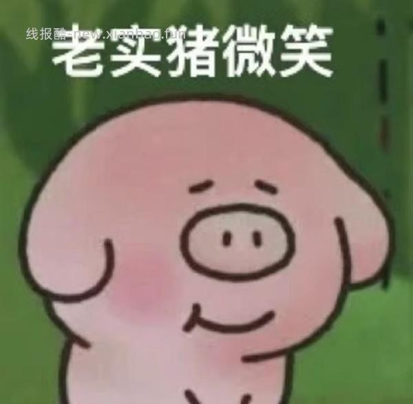 美的一人食电压力锅好价=110元 - 线报酷