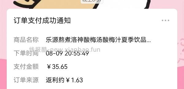 反薅18瓶乐源酸梅汁和帆布包（🚗在），反薅8瓶果汁（🚗跑） - 线报酷