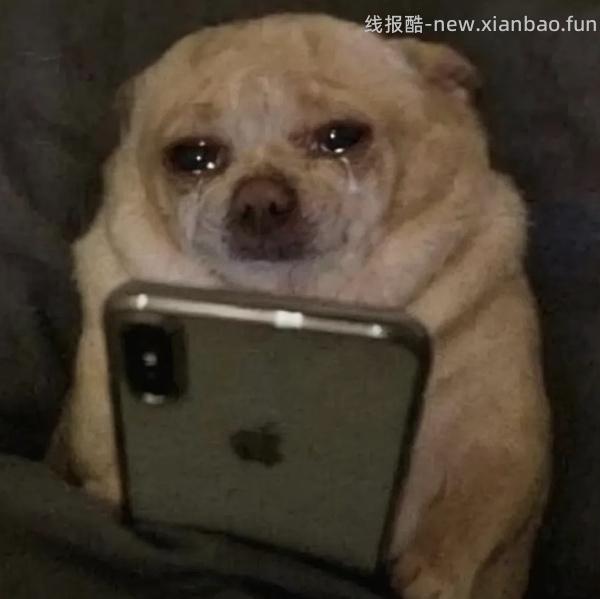 机不可失，失不再来，超好价兄弟2508打印机855+ - 线报酷
