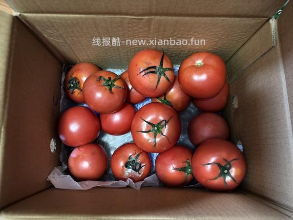 绿行者番茄9r买4.5斤 - 线报酷