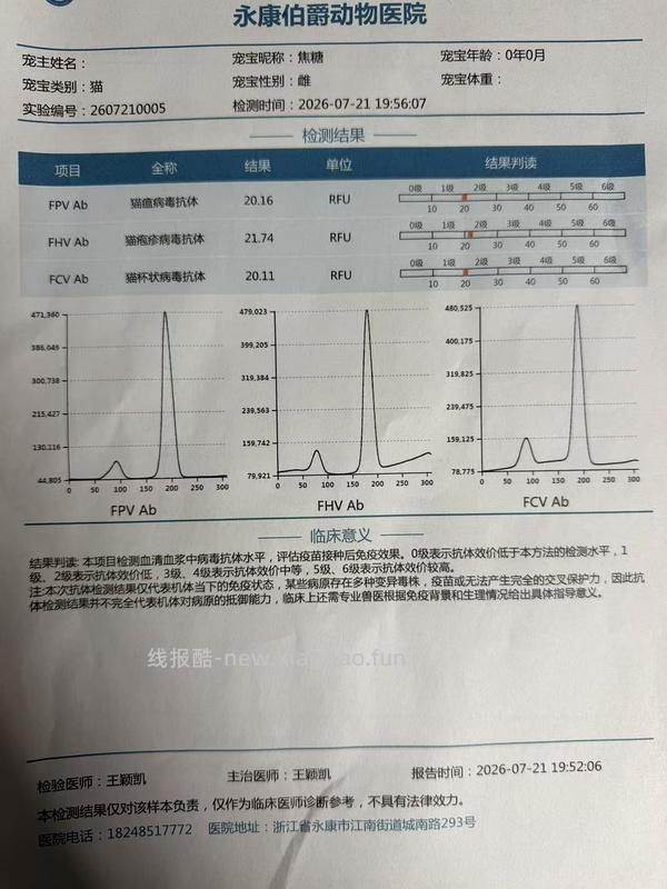 【科普】捡到一只小流浪怎么办！新猫到家干货省流贴！ - 线报酷