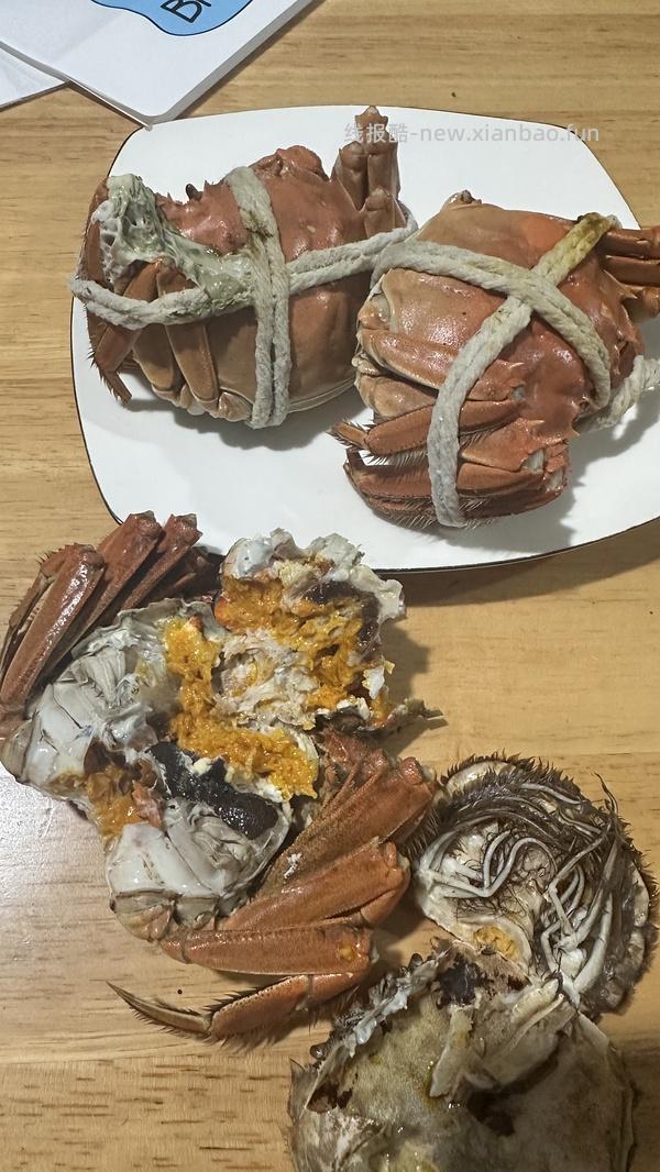 鱻谣大闸蟹2.8两母蟹8只 124r - 线报酷