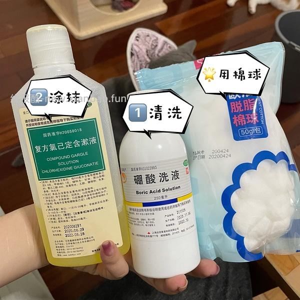 讨论/【科普】关于耳螨，马拉色菌和猫癣的一点看法 - 线报酷