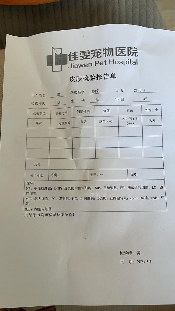 讨论/【科普】激情安利伊曲康唑治疗猫癣！！伊曲康唑真的伤肝吗？辟谣！！！ - 线报酷