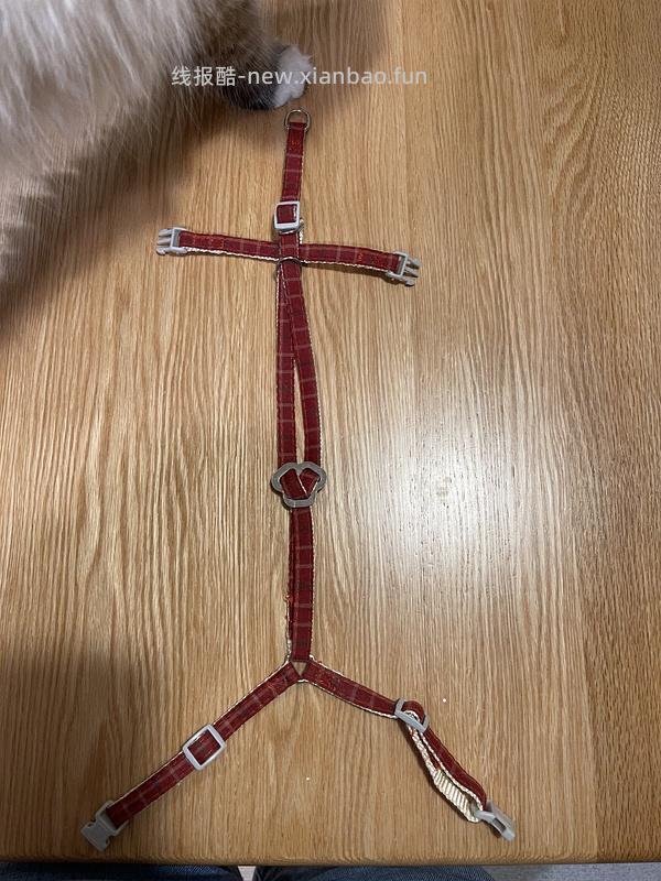 讨论/【教程】进阶版教程——如何将不到10块钱的牵引绳改造成100+的科学牵引绳 - 线报酷