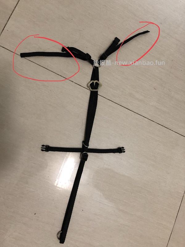 讨论/【教程】进阶版教程——如何将不到10块钱的牵引绳改造成100+的科学牵引绳 - 线报酷