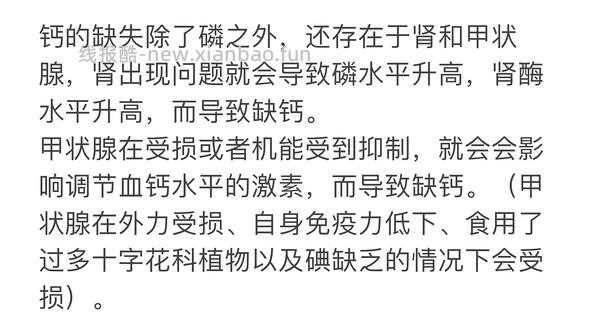 讨论｜【科普】搬运+整理自自然狗-狗狗需要吃蔬菜水果吗？ - 线报酷