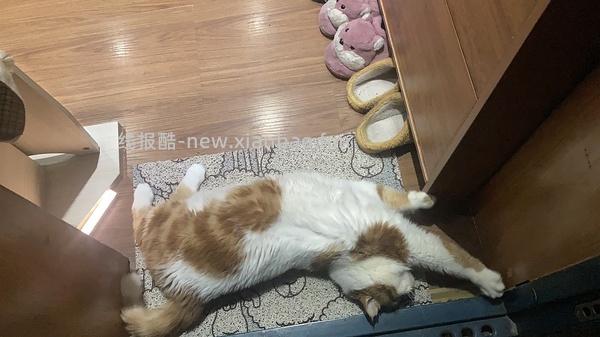 讨论/【科普】军训图及我的军训历程 - 线报酷