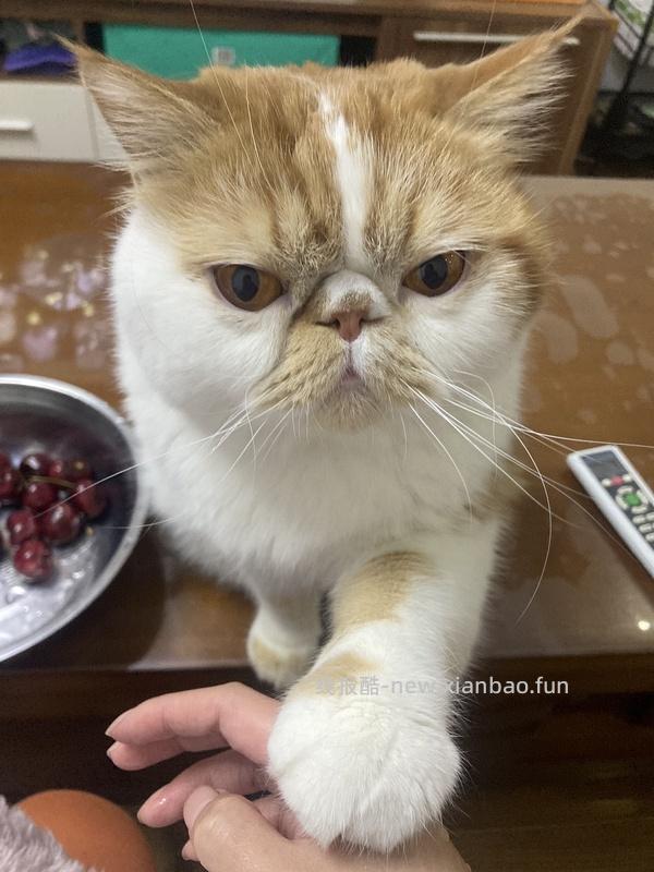 讨论/【科普】军训图及我的军训历程 - 线报酷