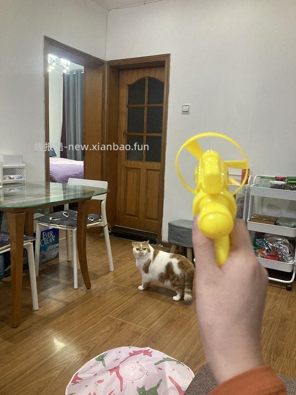 讨论/【科普】军训图及我的军训历程 - 线报酷