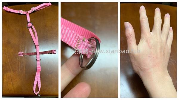 讨论/【教程】进阶版教程——如何将不到10块钱的牵引绳改造成100+的科学牵引绳 - 线报酷