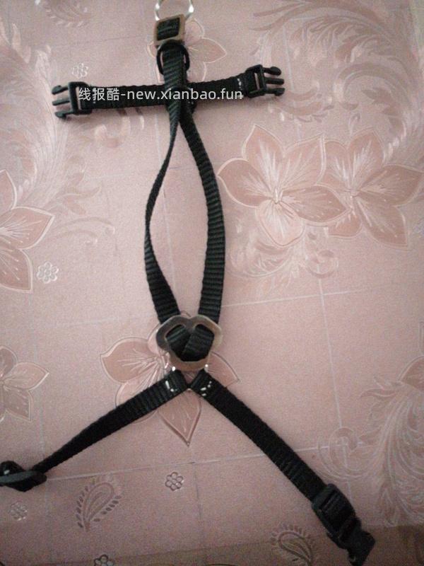 讨论/【教程】进阶版教程——如何将不到10块钱的牵引绳改造成100+的科学牵引绳 - 线报酷