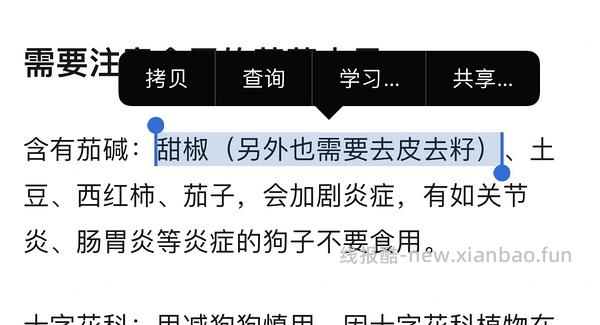 讨论｜【科普】搬运+整理自自然狗-狗狗需要吃蔬菜水果吗？ - 线报酷