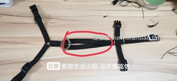 讨论/【教程】进阶版教程——如何将不到10块钱的牵引绳改造成100+的科学牵引绳 - 线报酷