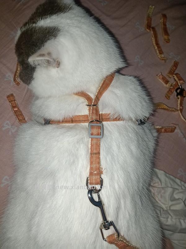 讨论/【教程】进阶版教程——如何将不到10块钱的牵引绳改造成100+的科学牵引绳 - 线报酷