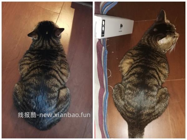 讨论/【科普】军训图及我的军训历程 - 线报酷