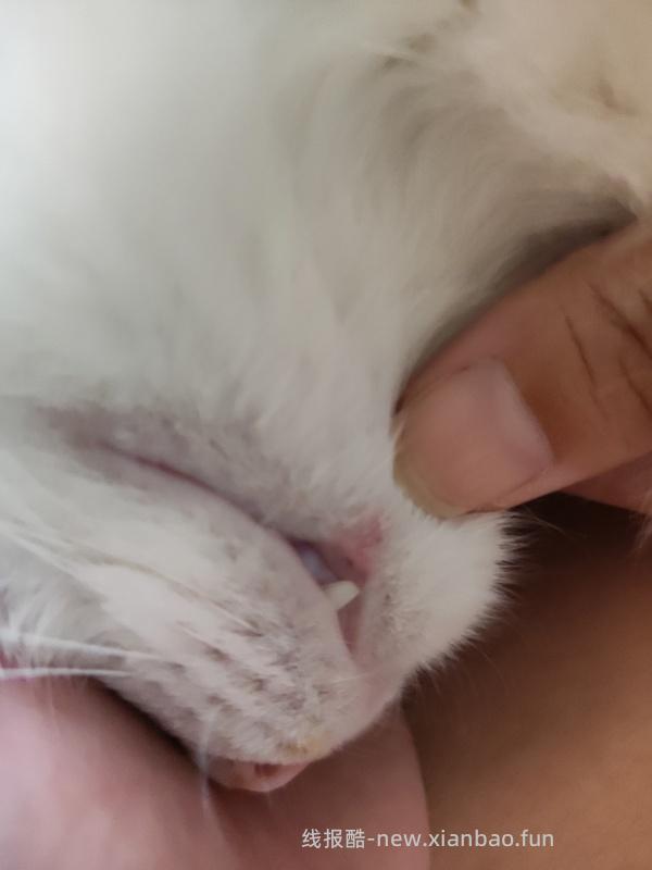 【科普】牙科问题和普通内科问题都可以留言，看到会回复 - 线报酷