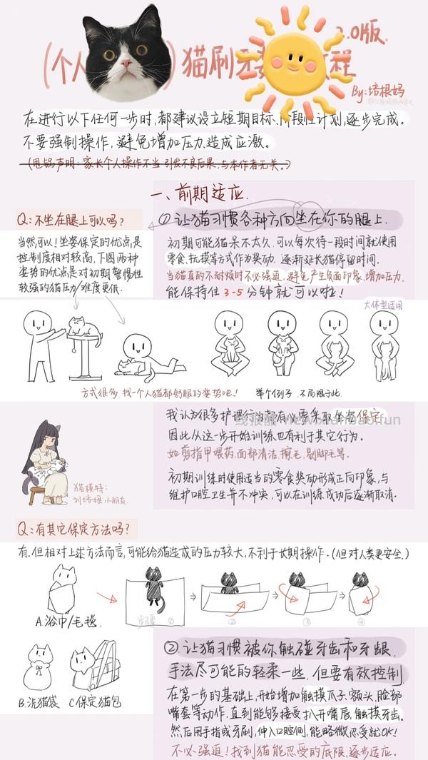 讨论/【科普】猫刷牙详细图文教程2.0 - 线报酷