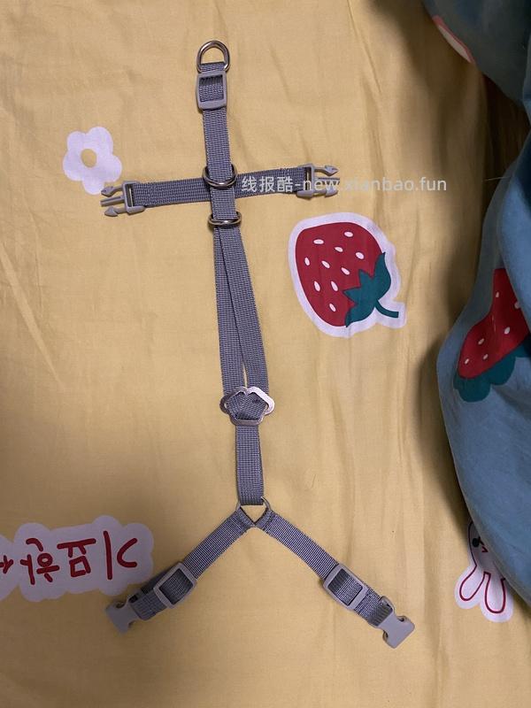 讨论/【教程】进阶版教程——如何将不到10块钱的牵引绳改造成100+的科学牵引绳 - 线报酷