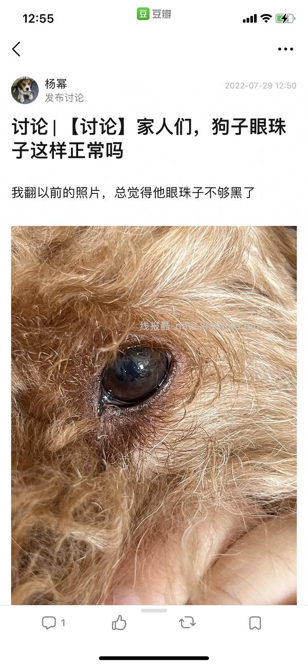 公告｜【公告】组规（进组必看）2025/10/16更新 - 线报酷