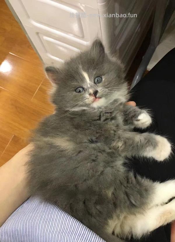 【科普】牙科问题和普通内科问题都可以留言，看到会回复 - 线报酷