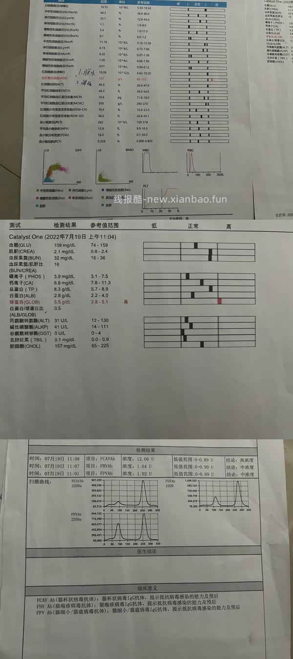 【科普】牙科问题和普通内科问题都可以留言，看到会回复 - 线报酷