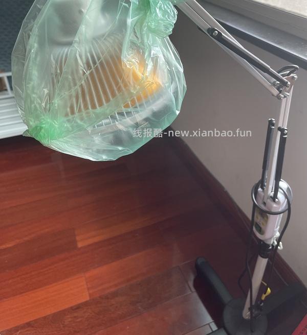 讨论｜【科普】一些关于狗狗关节炎的知识信息分享与科普（症状/缓解病情的方法） - 线报酷