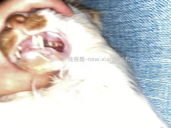 讨论/【科普】口炎的辨别 - 线报酷