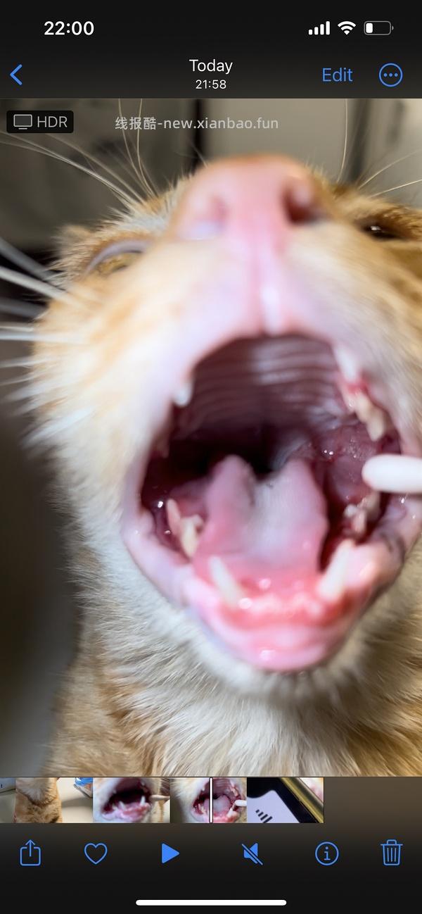 讨论/【科普】口炎的辨别 - 线报酷