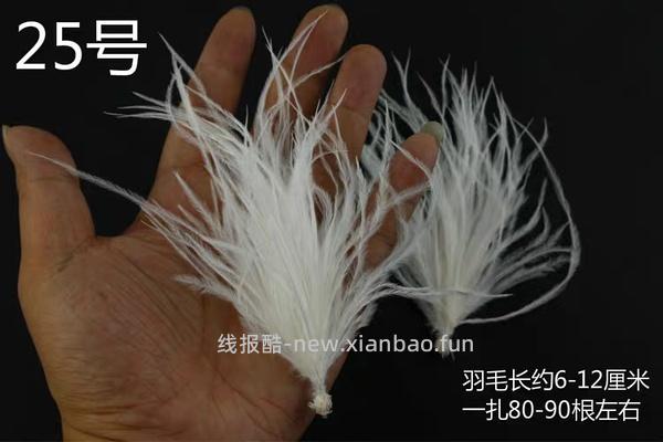 讨论/【科普】养猫省钱小妙招和好物推荐（欢迎补充☺️）【如有搬运，需本人同意】 - 线报酷