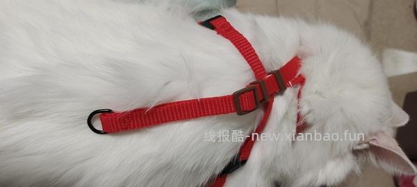 讨论/【教程】进阶版教程——如何将不到10块钱的牵引绳改造成100+的科学牵引绳 - 线报酷