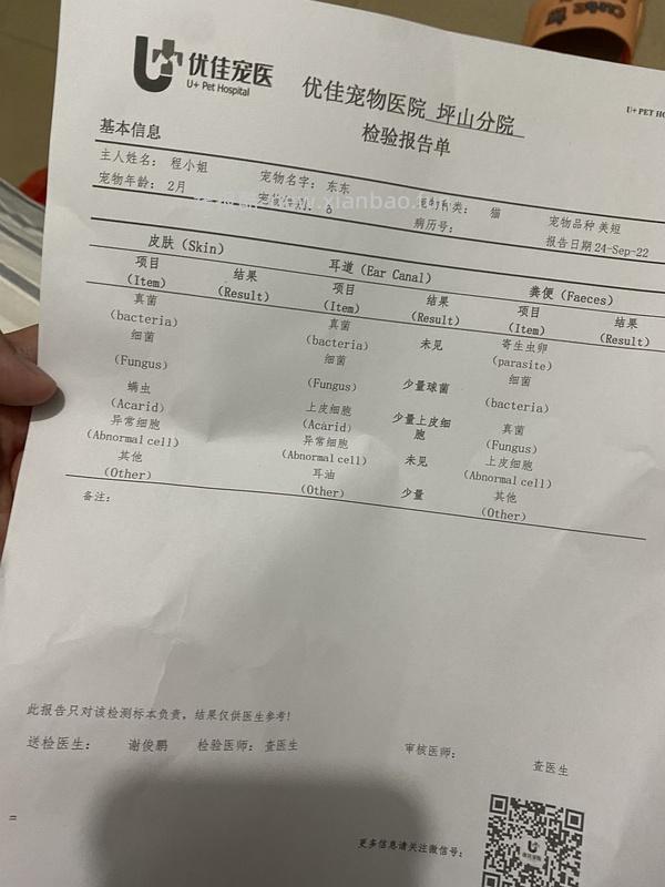 讨论/【科普】关于耳螨，马拉色菌和猫癣的一点看法 - 线报酷