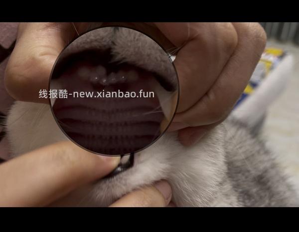 【科普】牙科问题和普通内科问题都可以留言，看到会回复 - 线报酷