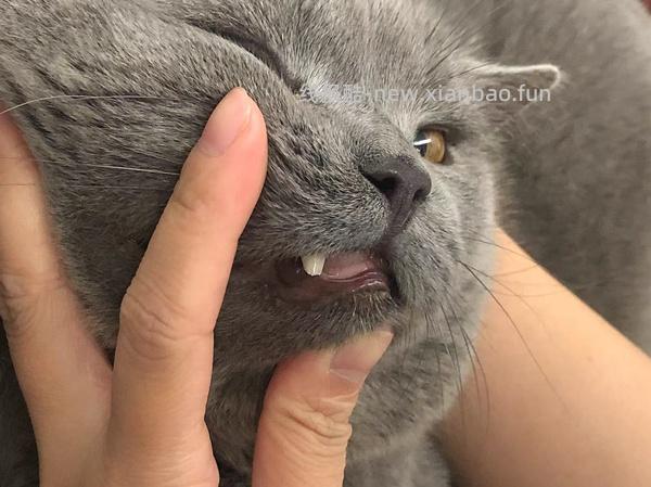 【科普】牙科问题和普通内科问题都可以留言，看到会回复 - 线报酷