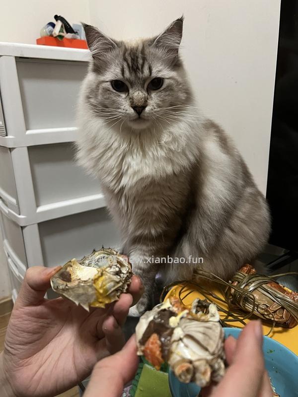 【科普】牙科问题和普通内科问题都可以留言，看到会回复 - 线报酷