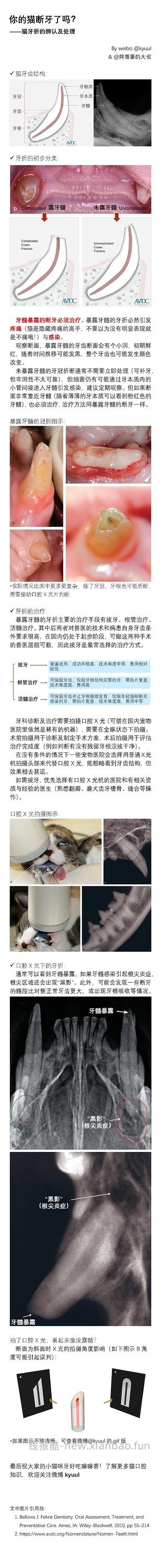 【科普】牙科问题和普通内科问题都可以留言，看到会回复 - 线报酷