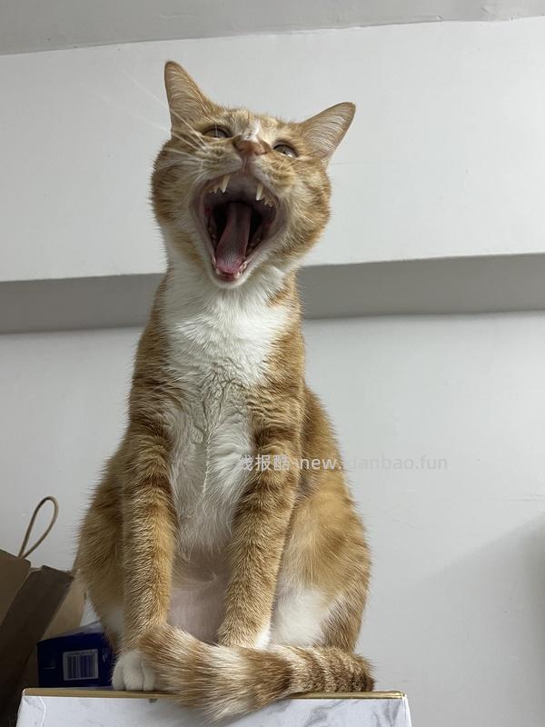 【科普】牙科问题和普通内科问题都可以留言，看到会回复 - 线报酷