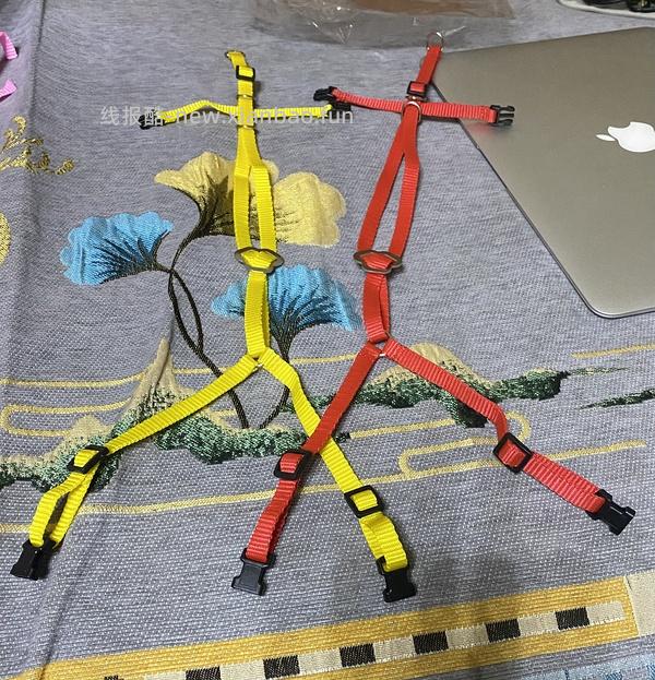 讨论/【教程】进阶版教程——如何将不到10块钱的牵引绳改造成100+的科学牵引绳 - 线报酷