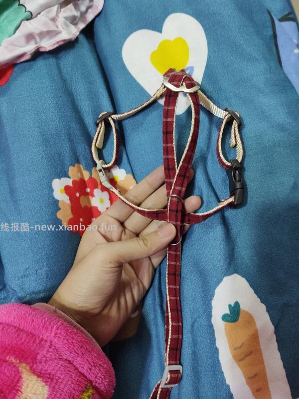 讨论/【教程】进阶版教程——如何将不到10块钱的牵引绳改造成100+的科学牵引绳 - 线报酷