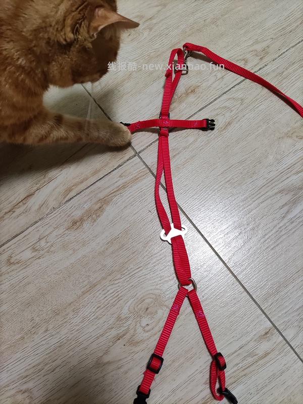 讨论/【教程】进阶版教程——如何将不到10块钱的牵引绳改造成100+的科学牵引绳 - 线报酷