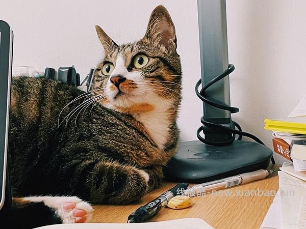 讨论/【科普】军训图及我的军训历程 - 线报酷