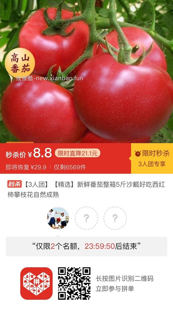 专楼｜【专楼】二维码/小程序/其他链接等一切多人拼团专楼 2⃣️ - 线报酷