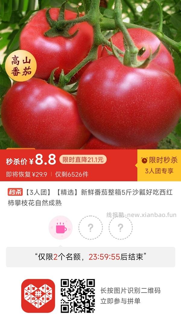 专楼｜【专楼】二维码/小程序/其他链接等一切多人拼团专楼 2⃣️ - 线报酷