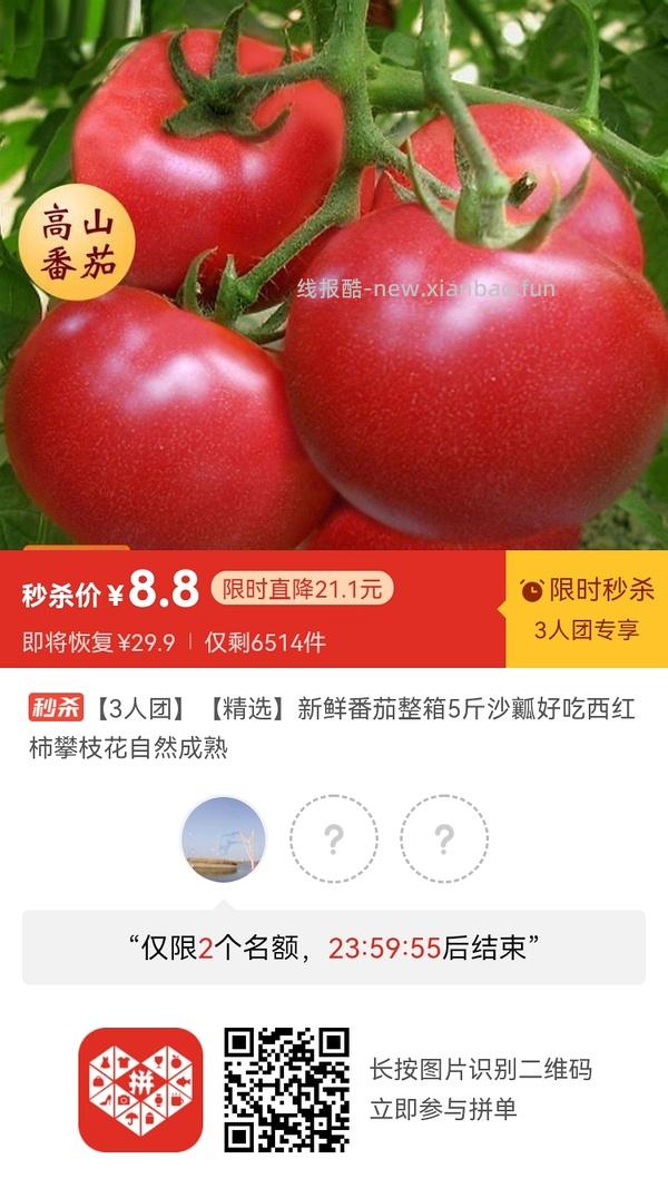 专楼｜【专楼】二维码/小程序/其他链接等一切多人拼团专楼 2⃣️ - 线报酷