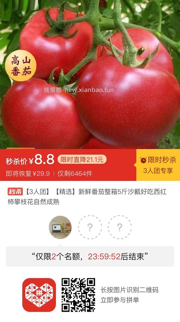 专楼｜【专楼】二维码/小程序/其他链接等一切多人拼团专楼 2⃣️ - 线报酷