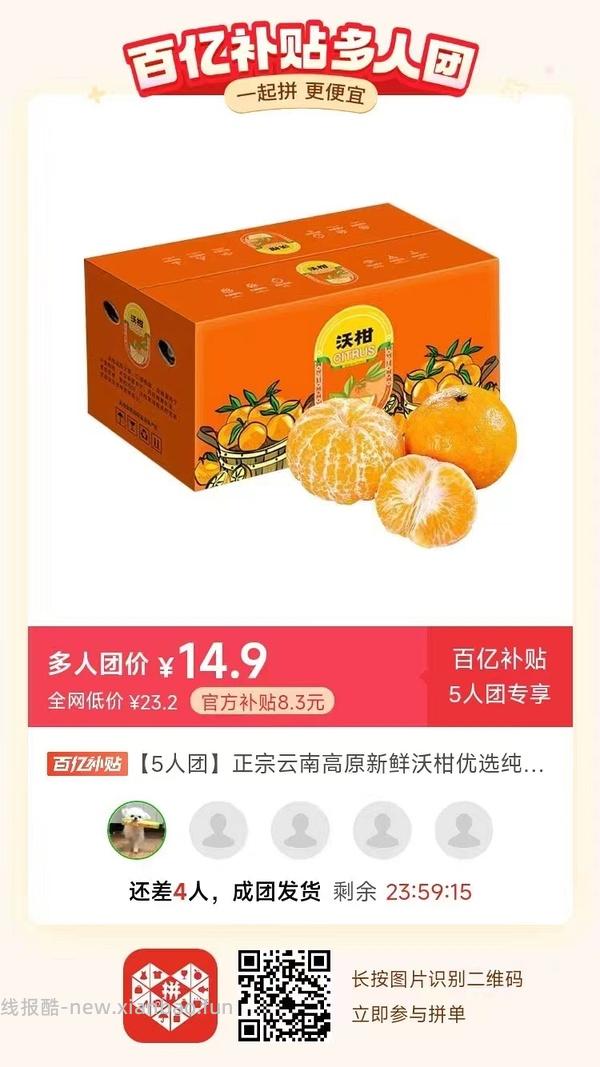 专楼｜【专楼】二维码/小程序/其他链接等一切多人拼团专楼 2⃣️ - 线报酷