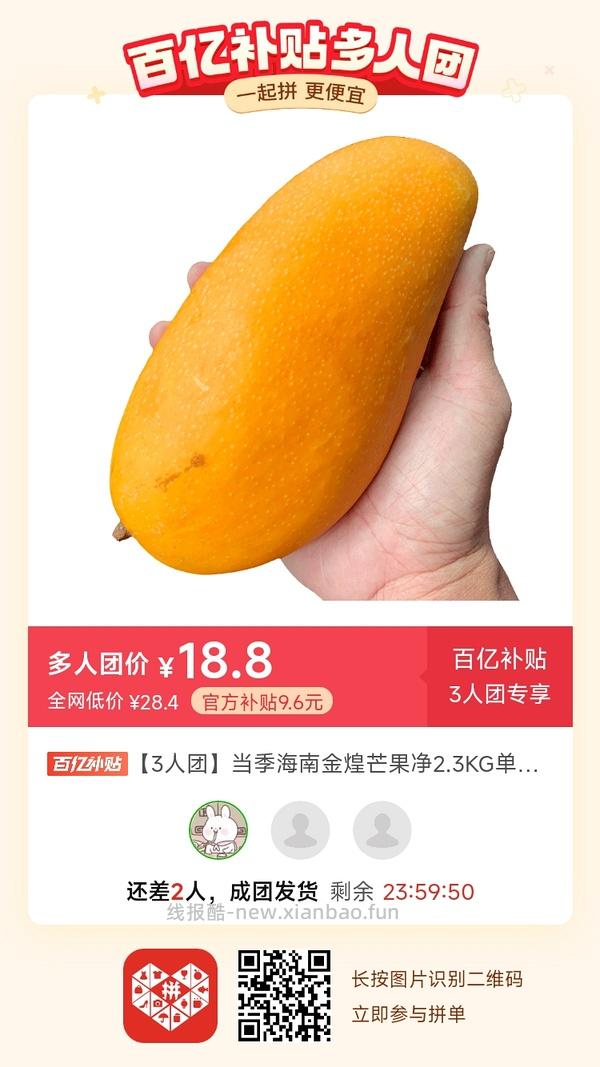专楼｜【专楼】二维码/小程序/其他链接等一切多人拼团专楼 2⃣️ - 线报酷