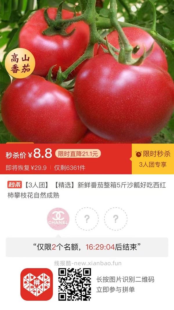 专楼｜【专楼】二维码/小程序/其他链接等一切多人拼团专楼 2⃣️ - 线报酷