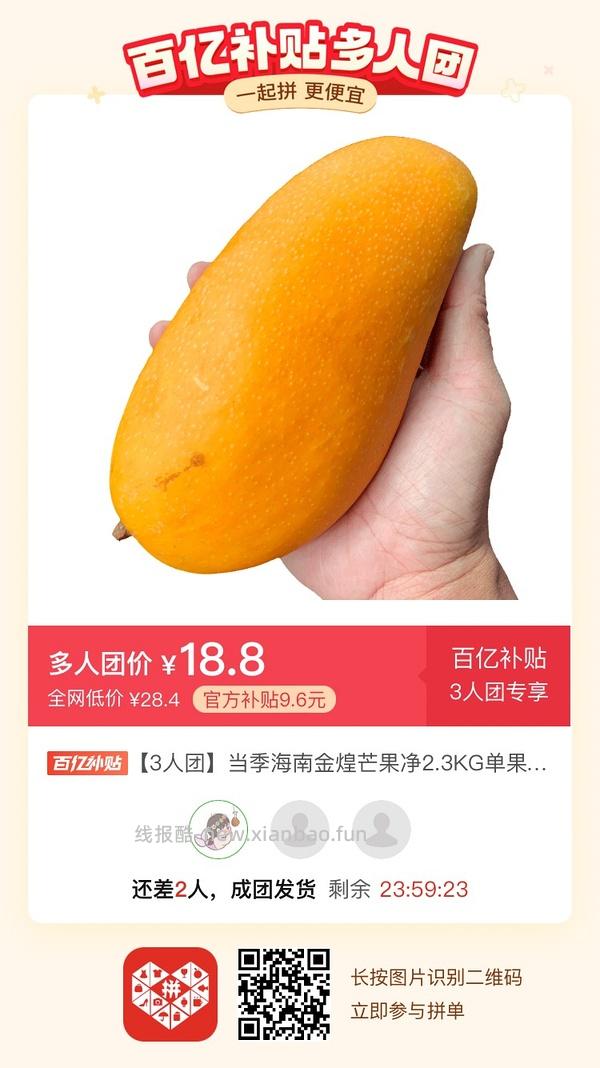 专楼｜【专楼】二维码/小程序/其他链接等一切多人拼团专楼 2⃣️ - 线报酷
